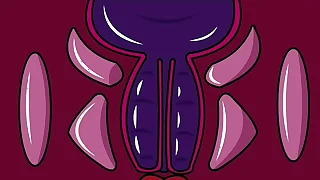 3829 boobs porn videos